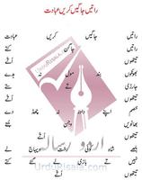 Poetry of Baba Bulay shah 截圖 3