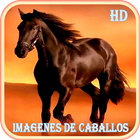 Imagenes de Caballos アイコン