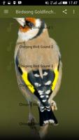 Birdsong Goldfinch New स्क्रीनशॉट 1