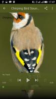 Birdsong Goldfinch New capture d'écran 2