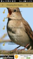 Chirping Bird Nightingale New скриншот 1