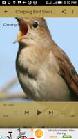 Chirping Bird Nightingale New capture d'écran 2