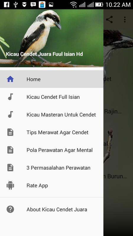 Burung