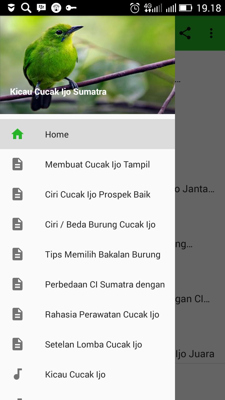 SUMATRA SCARICA