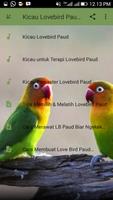 Kicau Lovebird Paud Juara Ekran Görüntüsü 1