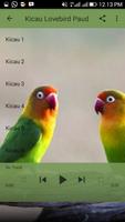 Kicau Lovebird Paud Juara capture d'écran 2