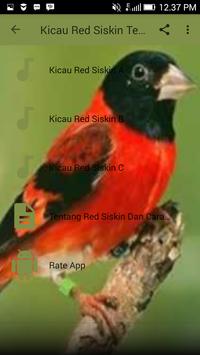 Kicau Red Siskin Terbaru For Android Apk Download