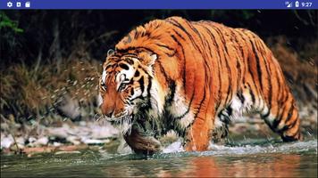 Animal Wallpapers and free Animal Theme capture d'écran 1