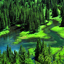 River Backgrounds: River Images, Nature Wallpapers-APK