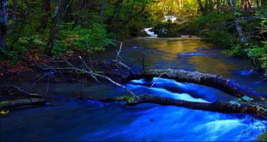 River Backgrounds: River Images, Nature Wallpapers capture d'écran 1