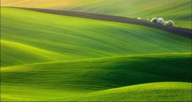 Field Wallpapers: Field Images, Nature Pictures ポスター