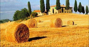 Field Wallpapers: Field Images, Nature Pictures capture d'écran 2