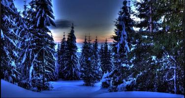 Nice Winter Pictures: Nature Themes, Winter images screenshot 1