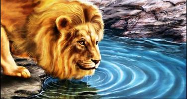 Lion Wallpapers: Free Lion Pics, Lion Backgrounds 截圖 2