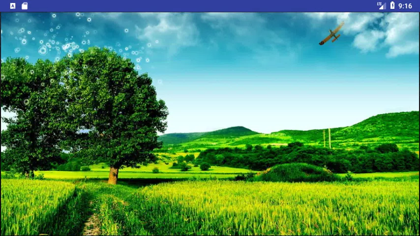 Beautiful Nature Wallpapers: Nature Image, Nature APK for Android Download Beautiful Nature Wallpapers: Nature Image, Nature APK for Android Download