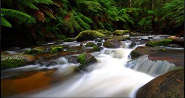 Stream Wallpapers: Stream Images, Natural Pics اسکرین شاٹ 1