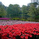 Park Wallpapers: Garden Pictures, Famous Garden-APK