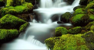 1 Schermata Waterfall Themes: Waterfall Pictures, Waterfall