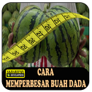 Cara Memperbesar Buah Dada APK