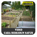 Video Cara Berkebun Sayuran APK