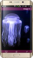 Jellyfish Fonds d'écran HD capture d'écran 2