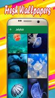 Jellyfish Wallpapers постер