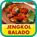 Resep Jengkol Balado APK