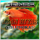 JENIS IKAN HIYAS AIR TAWAR APK