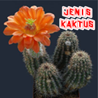 Jenis Tanaman Kaktus Hias icon