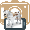 Selfie Dog for Pets