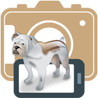 Icona Selfie Dog for Pets