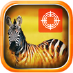 Zebra Hunter - Safari Hunting