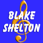 Following Blake Shelton icône