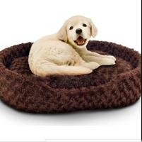 Dog Beds that Stay Cool স্ক্রিনশট 1