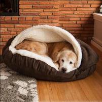 Кроватки для собак, которые остаются прохладно скриншот 3