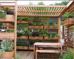 Pergola Ideas screenshot 3