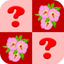 Цветок комбинационной игры APK