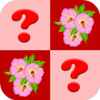 Flower Matching Game icône