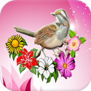 Цветы матч 3 игры APK