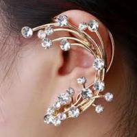 Earring Jewelry Design โปสเตอร์