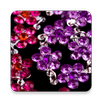 Jewellery Making Tutorials APK