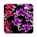 Schmuckherstellung Tutorials APK