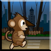 happy monkey