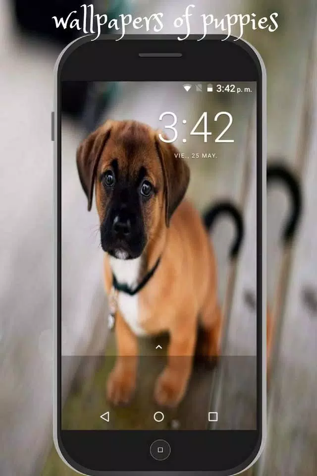 Descarga de APK de fondos de pantalla de perritos tiernos cachorro hd para  Android