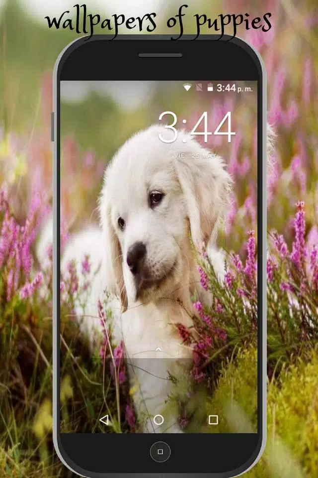 Descarga de APK de fondos de pantalla de perritos tiernos cachorro hd para Android Descarga de APK de fondos de pantalla de perritos tiernos cachorro hd para Android