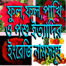 ফুল ফল পশু পাখি শাক- সবজি ইত্য APK