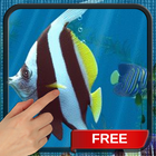 Angel Aquarium Live Wallpaper icon