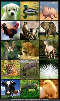 Animal Sounds & Ringtones पोस्टर
