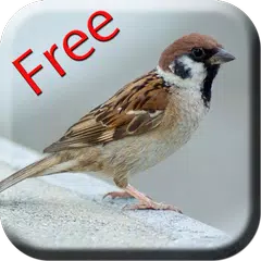 Bird Sounds & Ringtones APK download