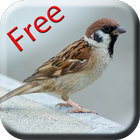 Bird Sounds & Ringtones Zeichen